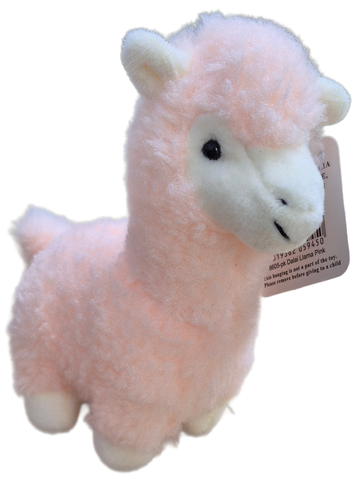 Dalai Llama Pink