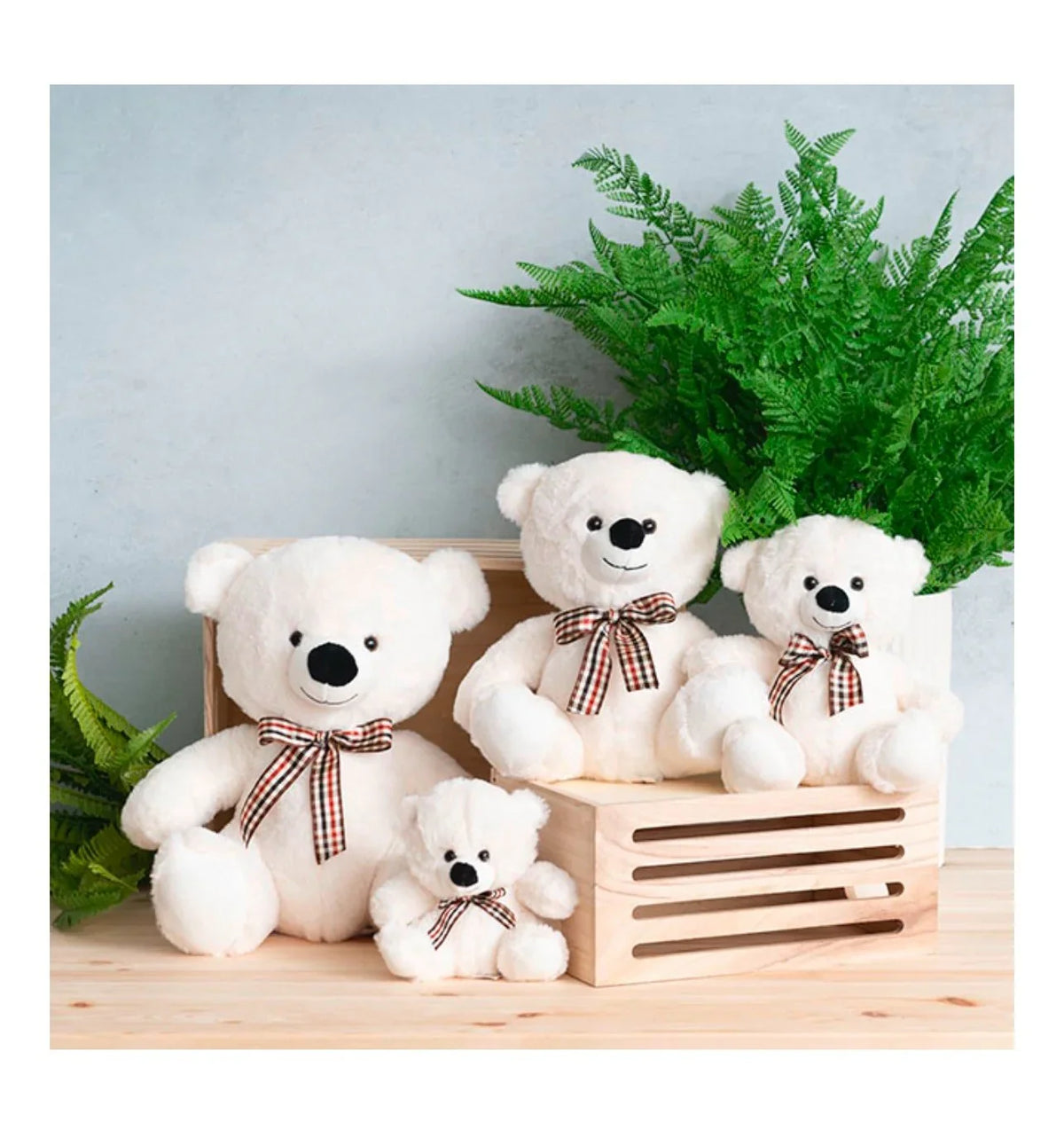Teddy